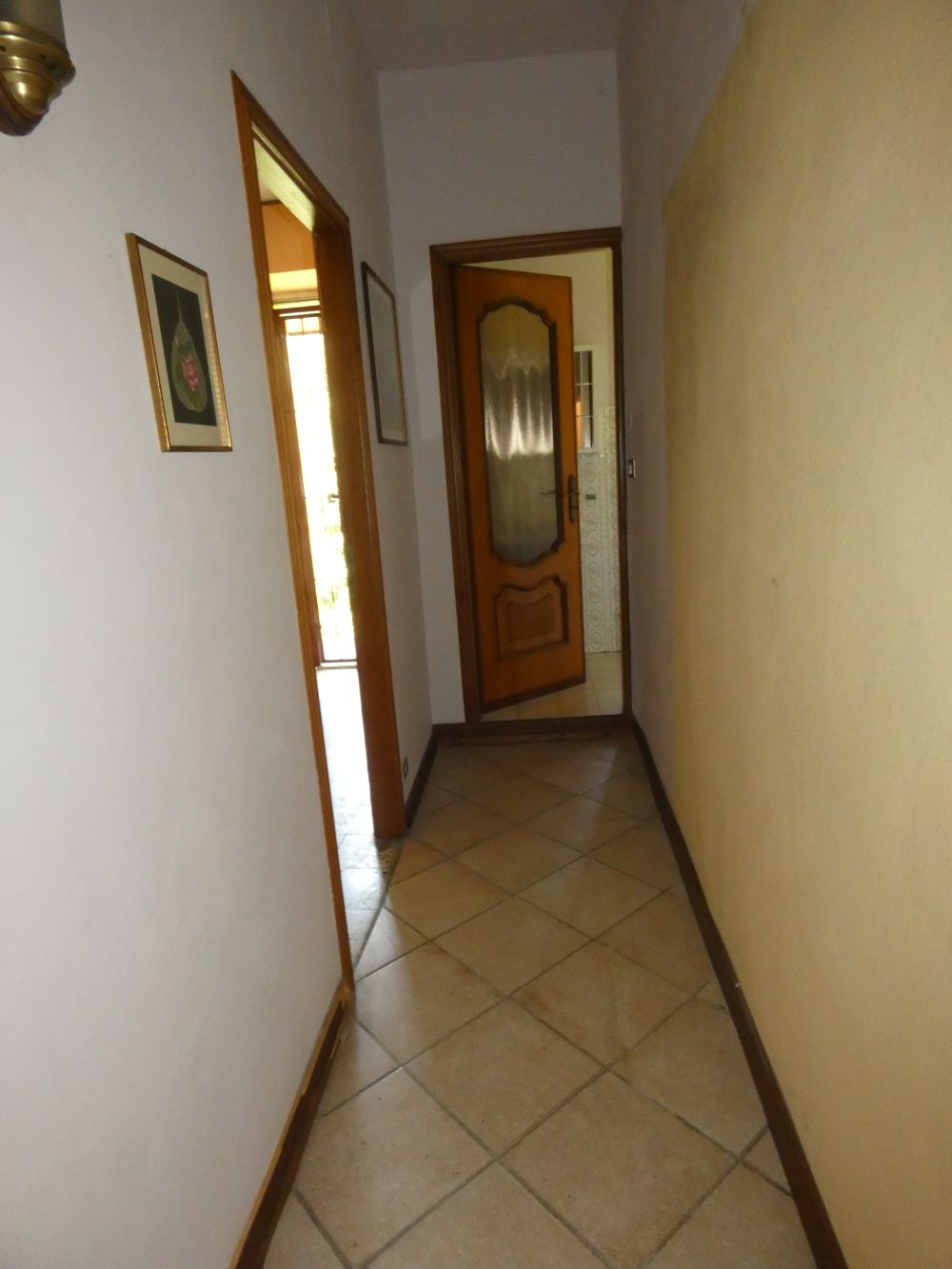 Corino immobiliare