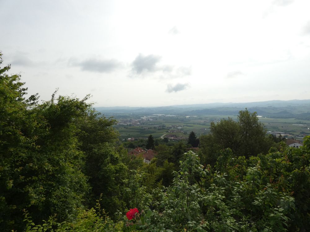 Corino immobiliare